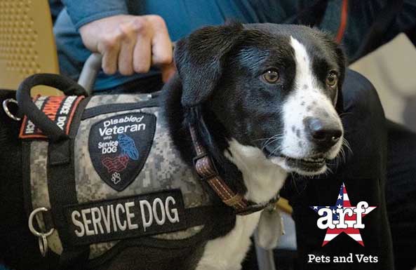 Person with Disabled Veteran Service Dog - ARF Pets and Vets