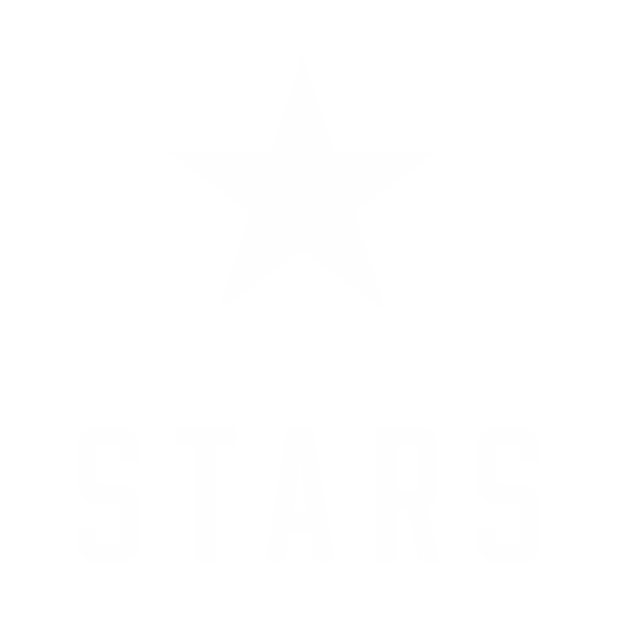 Nashville Stars Logo
